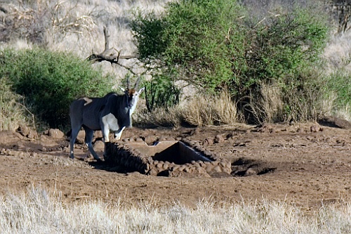 Kenia (115)